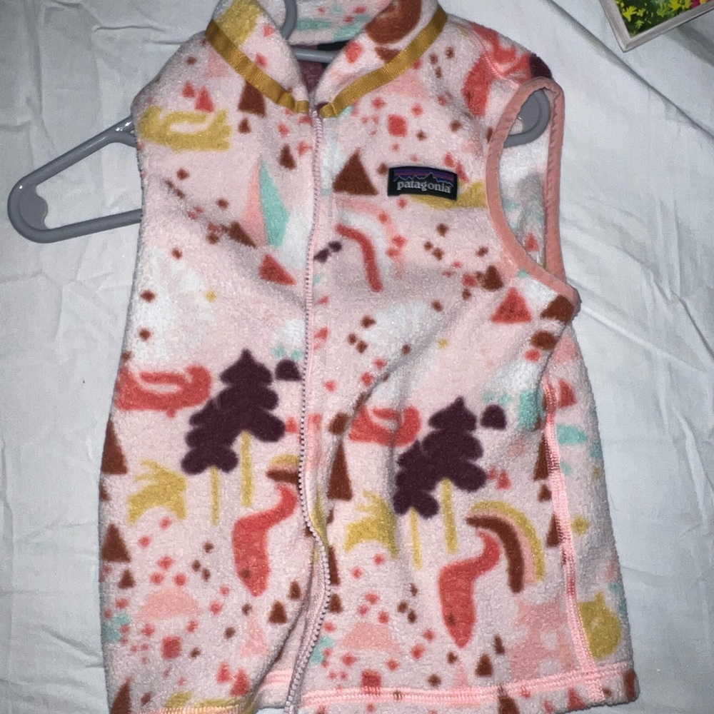 Patagonia vest